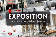 Zoonose expo